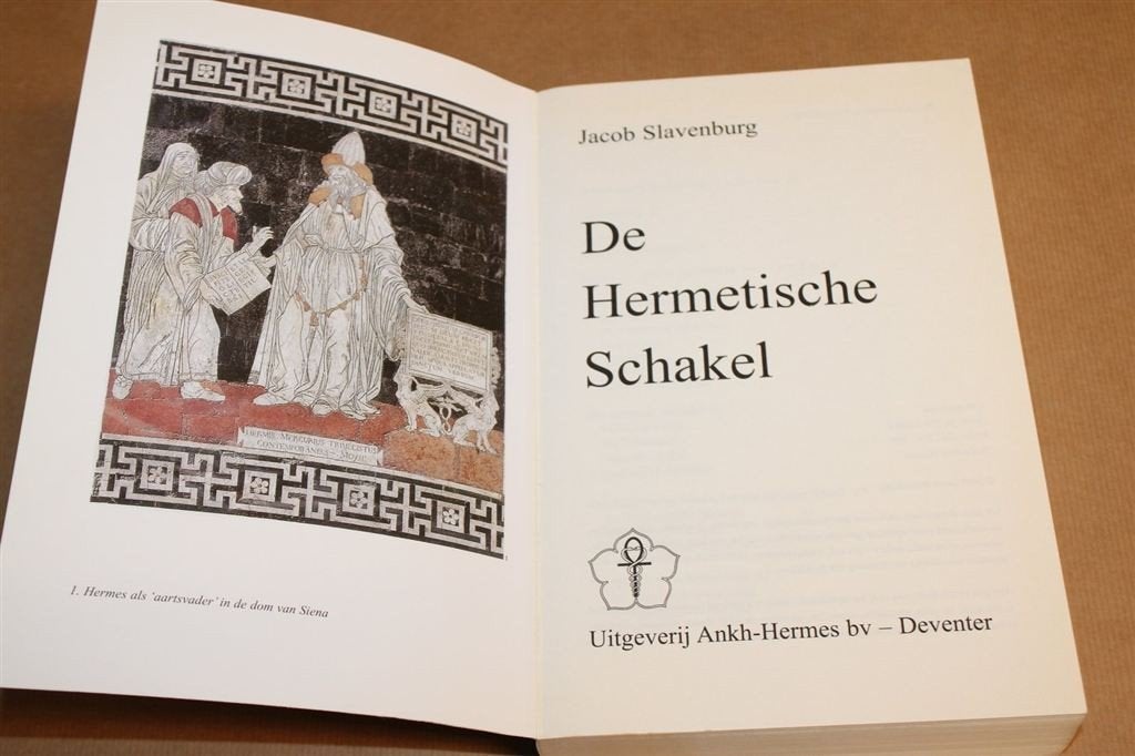 De Hermetische Schakel — Bronnen & Invloed van de Hermetica, Ophalen of Verzenden, Gelezen, Overige onderwerpen, Achtergrond en Informatie