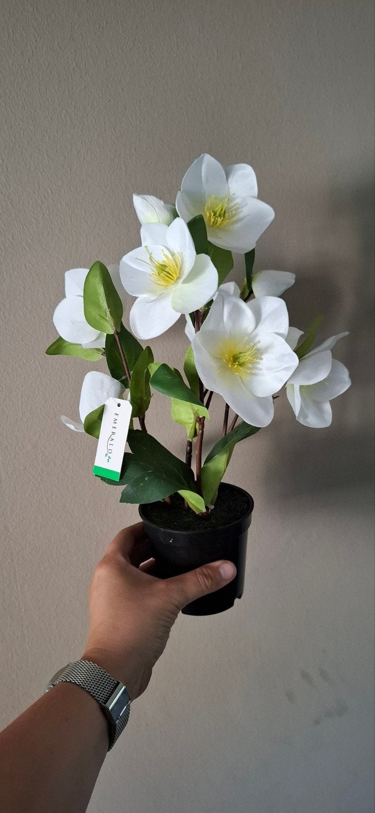 Kunst Helleborus Wit 33cm, Huis en Inrichting, Woonaccessoires | Kunstplanten en Kunstbloemen, Binnen, 33 cm, Kunstplant, Nieuw