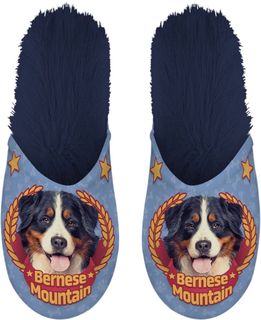 Slippers - Berner sennenhond- maat 39-42 - Verkoop goed doel, Slippers, Blauw, Nieuw, Ophalen of Verzenden
