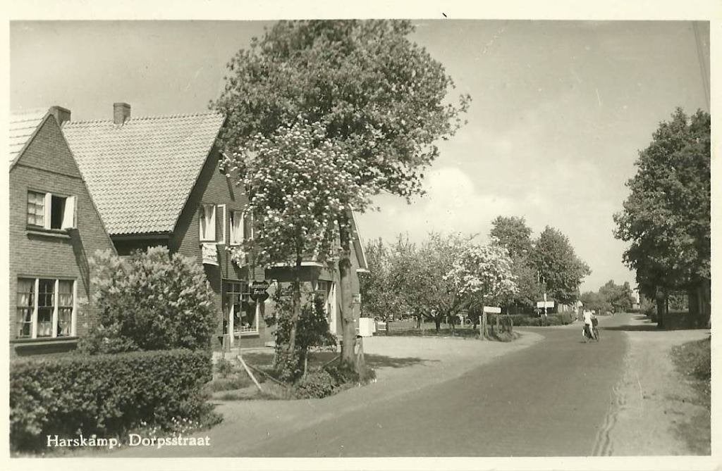 Harskamp - kampeerterrein e.a., Ophalen of Verzenden, 1940 tot 1960, Gelderland