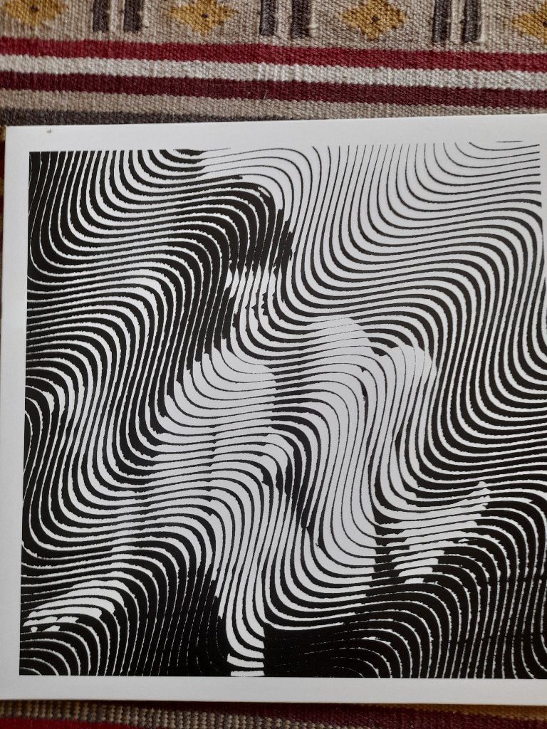 The Deaf- The Deaf, Cd's en Dvd's, Vinyl | Rock, Ophalen of Verzenden, Zo goed als nieuw, 12 inch, Poprock