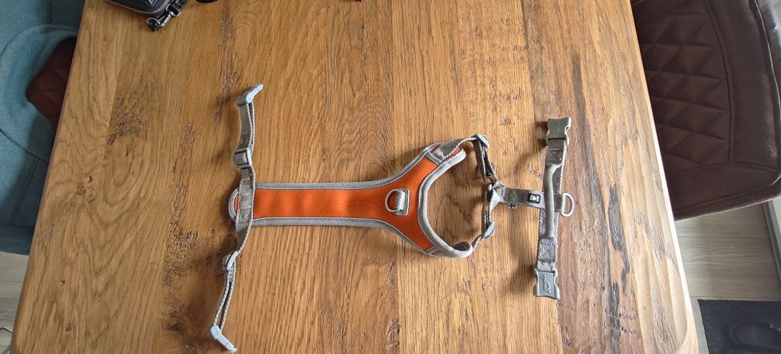honden harnas, Dieren en Toebehoren, Honden-accessoires, Ophalen of Verzenden, Zo goed als nieuw, Halsband