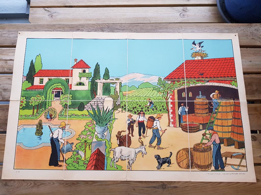 Druivenpluk oude schoolplaat uit Frankrijk litho op canvas., Ophalen of Verzenden