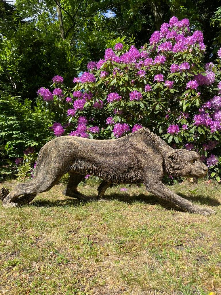 Sluipende gouden panter poema leopard beeld tuin tuin, Tuin en Terras, Tuinbeelden, Ophalen, Nieuw, Kunststof, Dierenbeeld