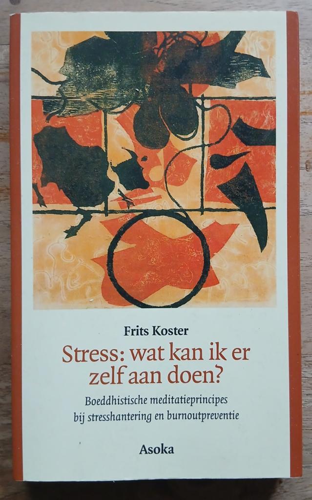 Frits Koster, Stress: wat kan ik er zelf aan doen?, Boeken, Ophalen of Verzenden, Gelezen