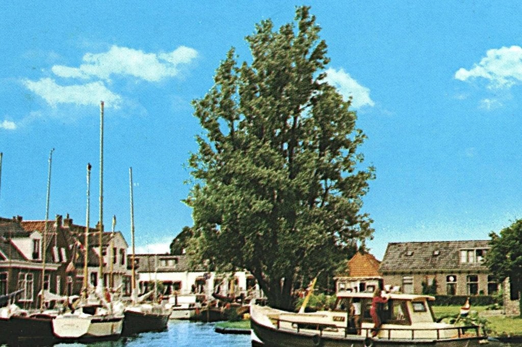 42503 Heeg Friesland 80+ Gelopen met Postzegel, Ophalen of Verzenden, 1980 tot heden, Gelopen, Friesland