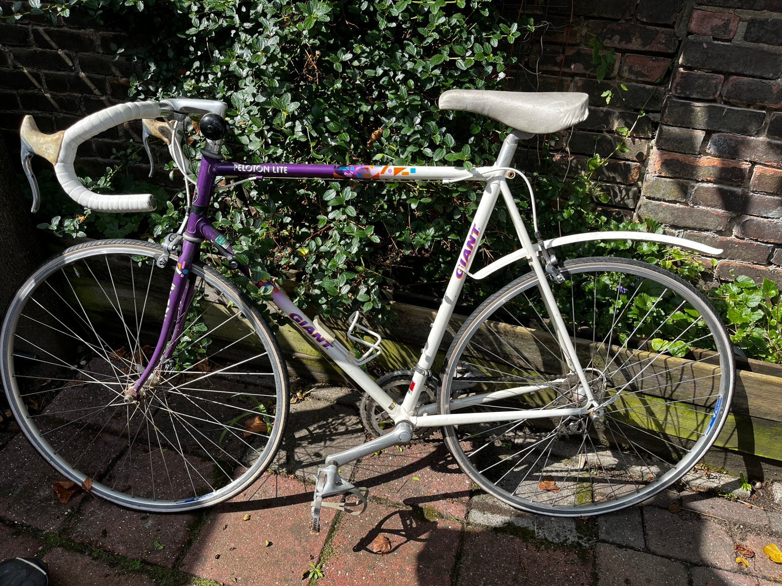 Racefiets Giant Peloton Lite vintage, Ophalen