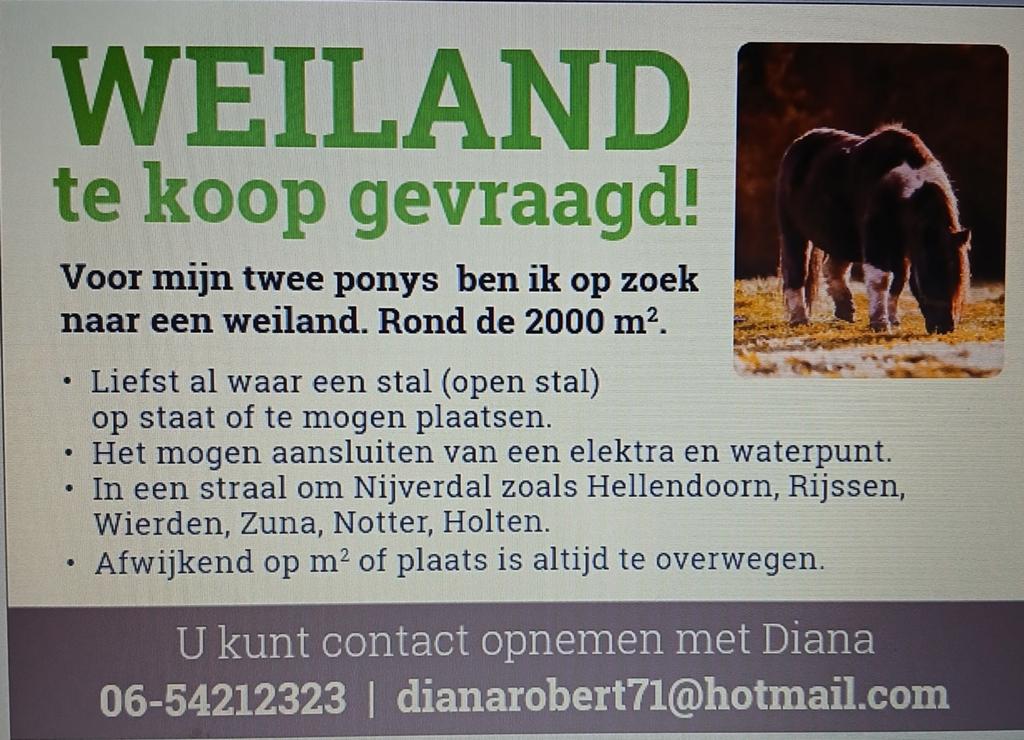Weiland of grote paddock vanaf 1000m2 te koop gevraagd, Dieren en Toebehoren