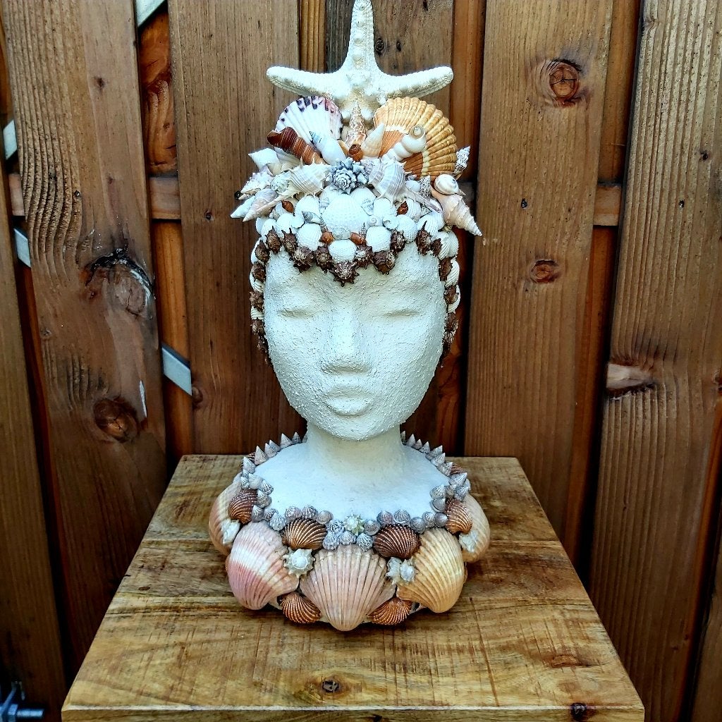 Prachtig buste beeld met schelpen op een steenlook hoofd, Ophalen of Verzenden, Nieuw, Natuurlijk materiaal