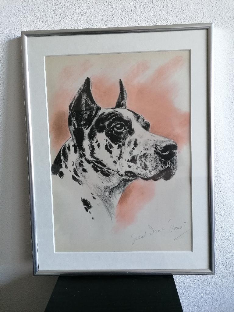 Deense Dog Honden Origineel Litho Diana Thorne Lijst 1944, Antiek en Kunst, Ophalen of Verzenden