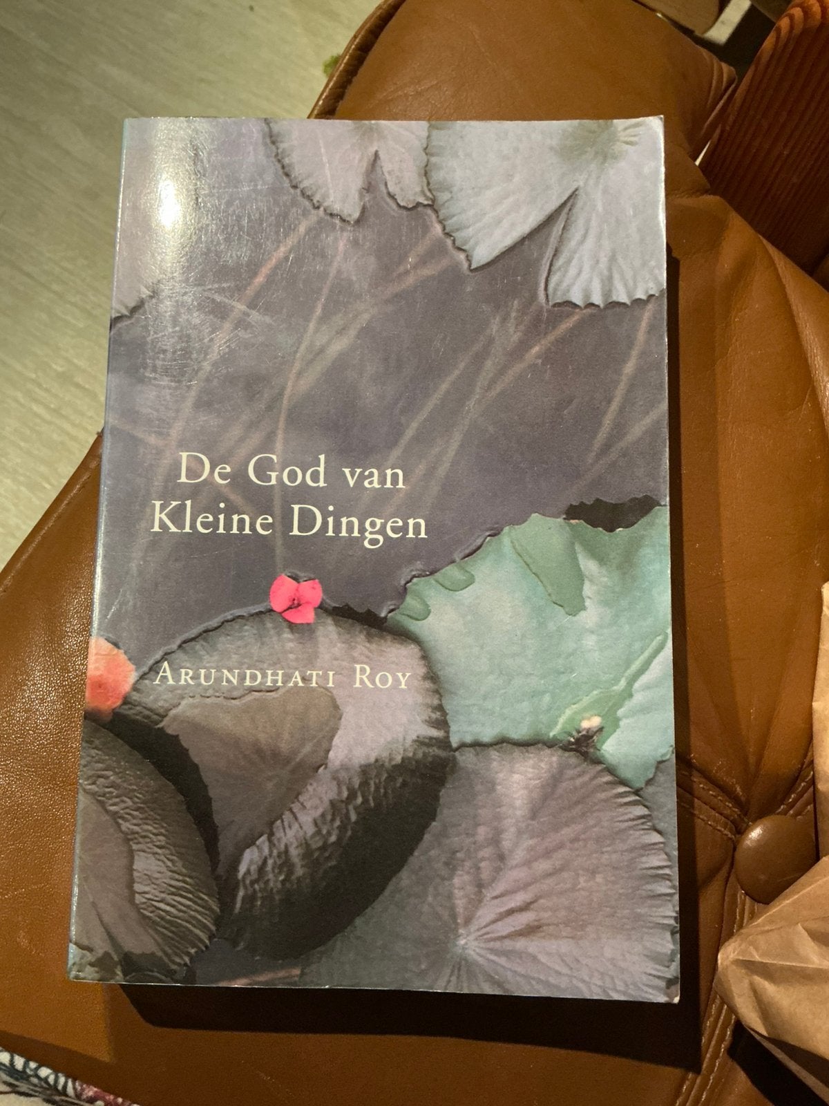 ARUNDHATI.    DE GOD VAN KLEINE DINGEN, Ophalen of Verzenden, Gelezen