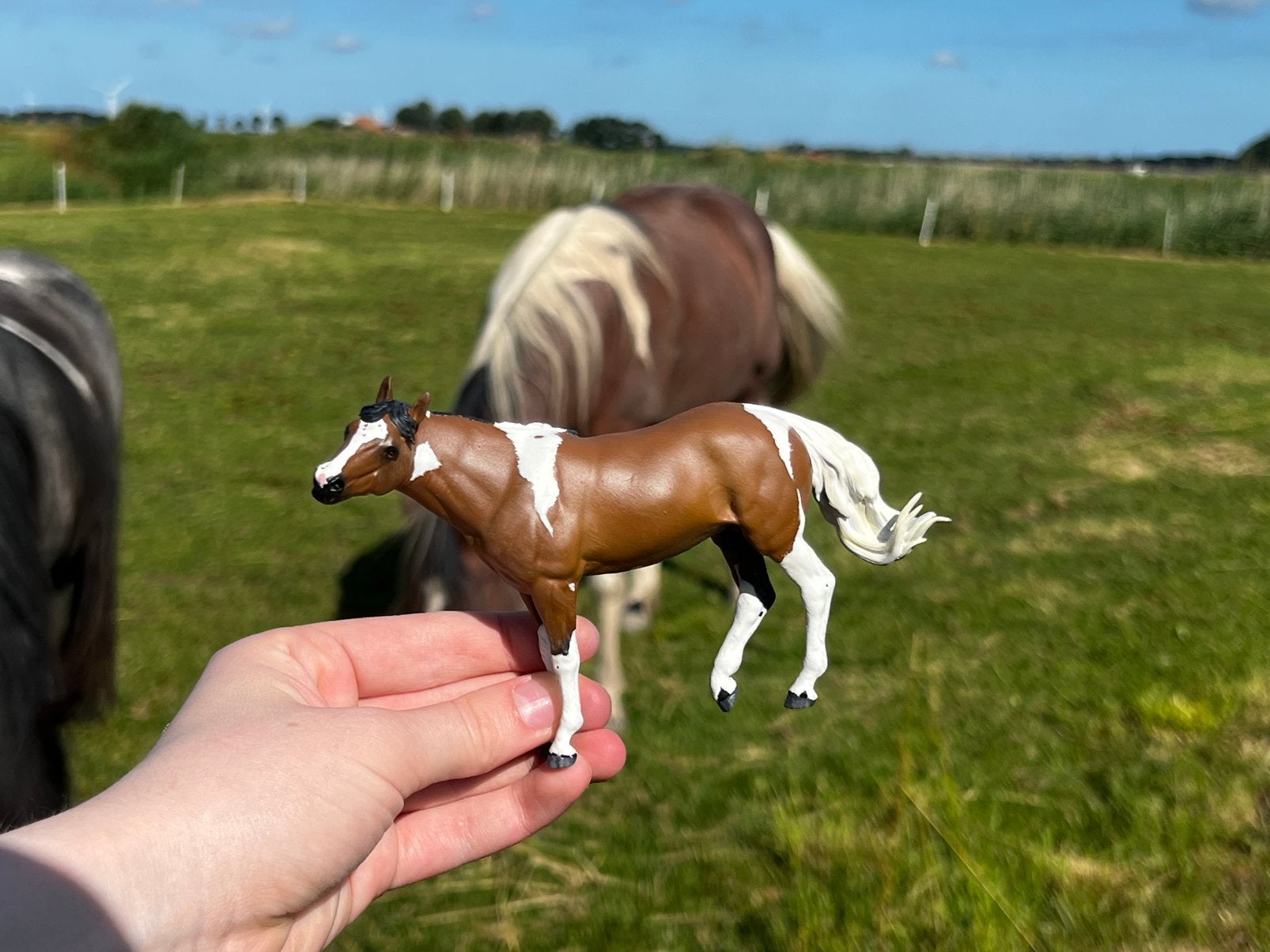 Repaint op aanvraag, Ophalen of Verzenden, Zo goed als nieuw, Dier