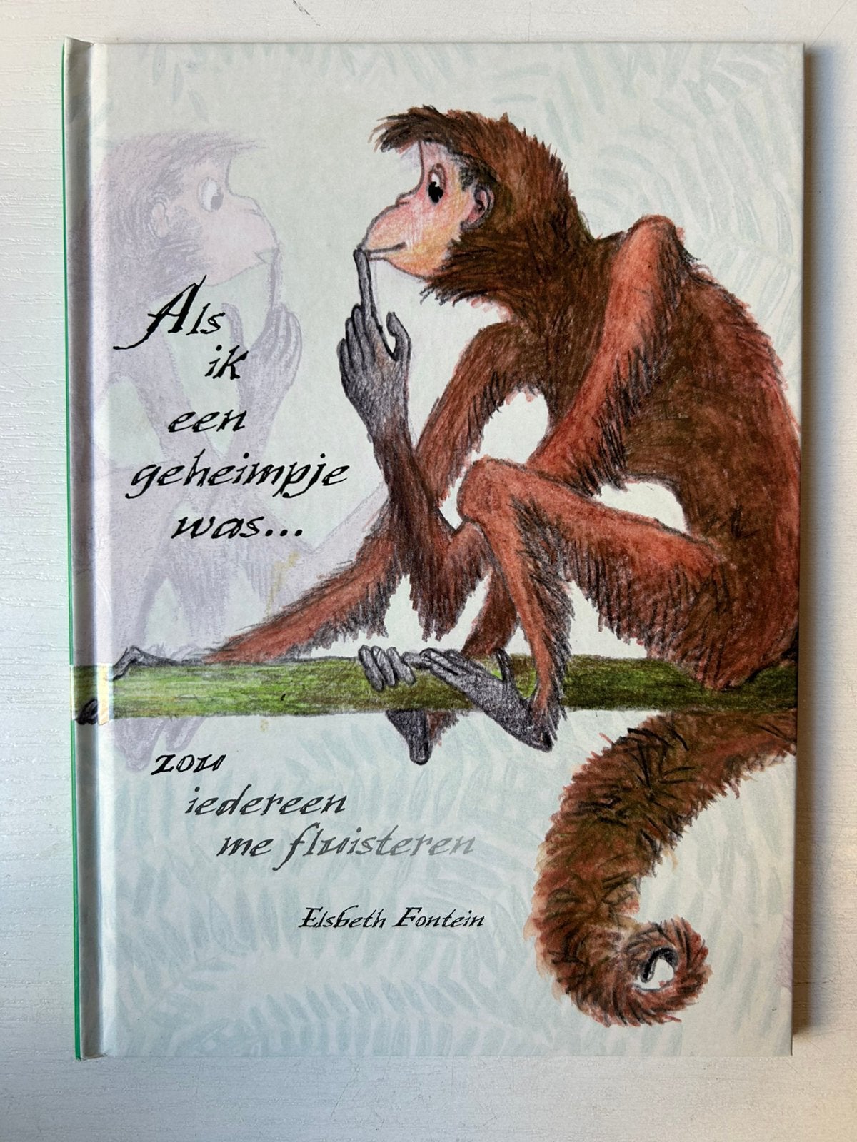 E. Fontein - Als ik een geheimpje was, Gelezen, Non-fictie, E. Fontein, Ophalen of Verzenden
