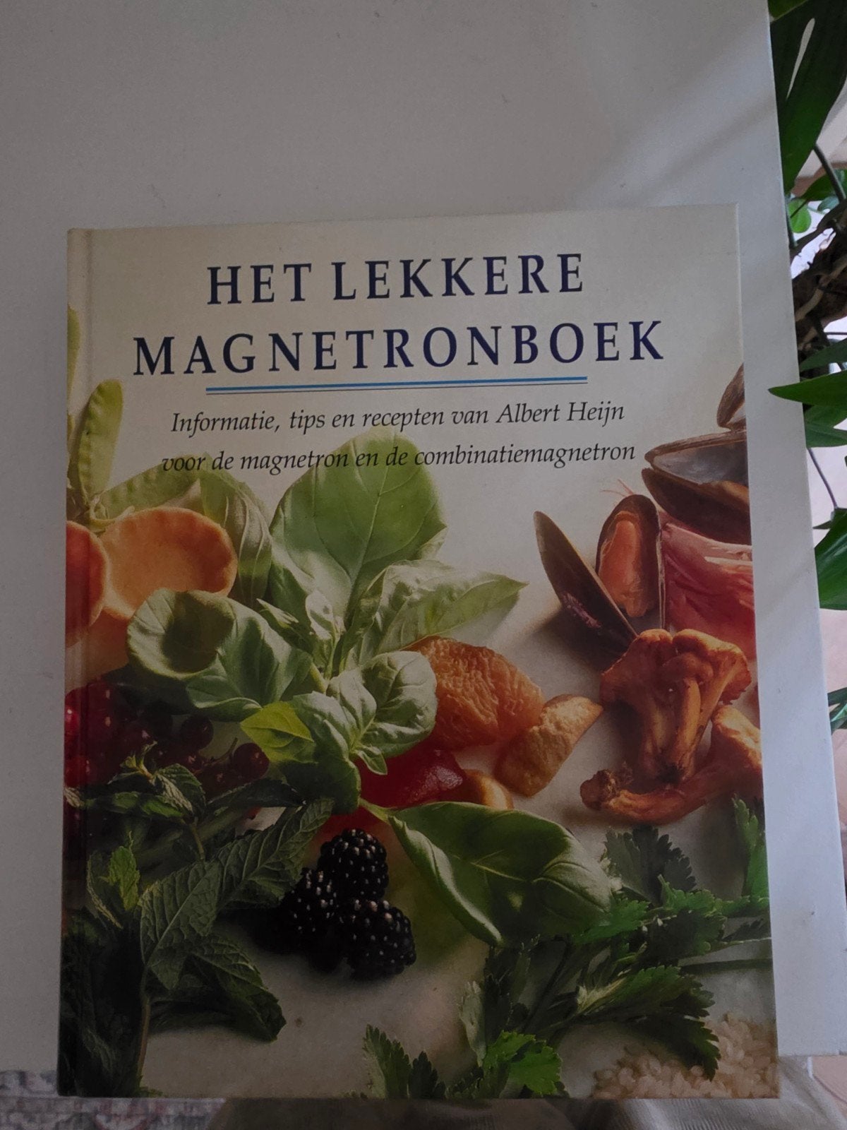 Het Lekkere Magnetronboek - Albert Heijn, Gelezen, Voorgerechten en Soepen, Albert Heijn, Ophalen of Verzenden