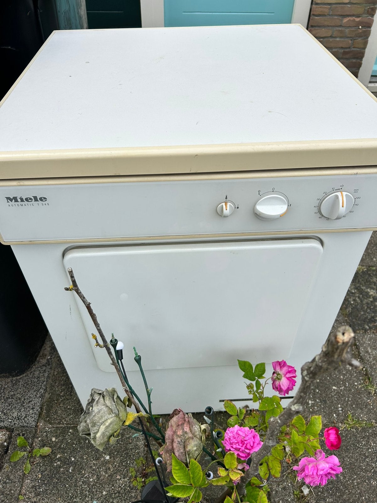 Gratis af te halen Miele wasdroger, Ophalen, Wolprogramma, Gebruikt, Luchtafvoer