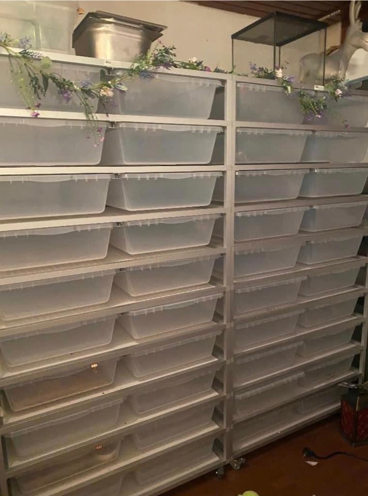 Alurack Aluracks V70 (2 x Rack van 20 tubs), Dieren en Toebehoren, Ophalen, Zo goed als nieuw, Terrarium of Paludarium