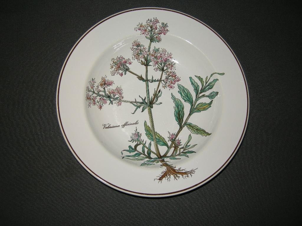 VIlleroy & Boch Botanica, diverse losse onderdelen, Villeroy & Boch, Ophalen of Verzenden, Zo goed als nieuw, Overige stijlen