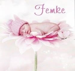 Femke, Ophalen of Verzenden, 2000 tot heden, Geboortekaartje