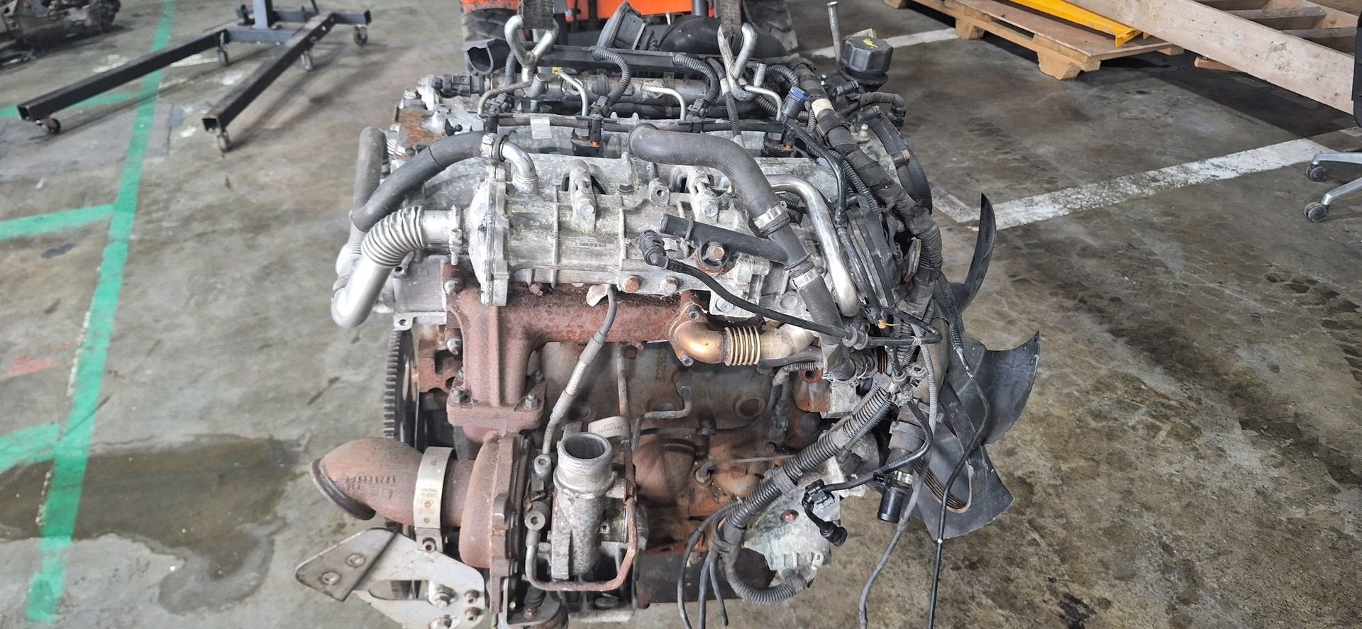 Motor Iveco Daily 2020+ (FPT / EGR-koeler FPT504385699), Gebruikt, -, -, Ophalen of Verzenden