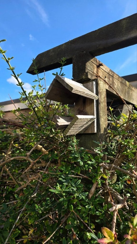 mooie vogelhuisje, Ophalen of Verzenden, Zo goed als nieuw