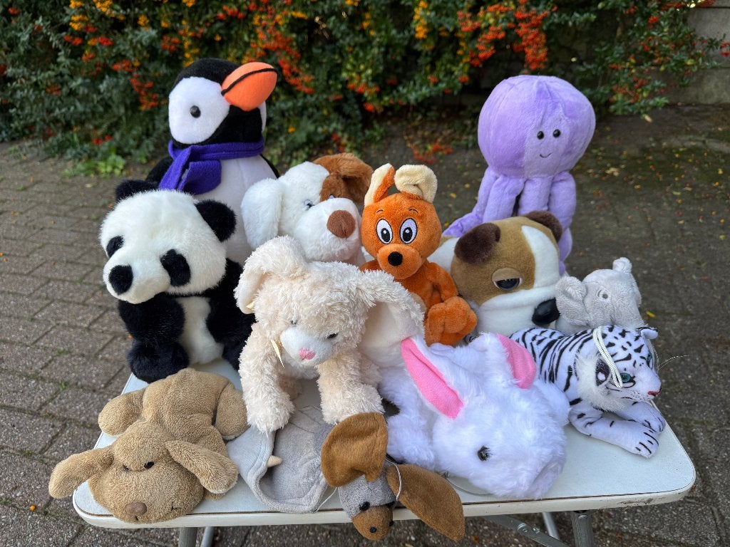 Diverse knuffels o.a. Ice age, Pokemon en sleutelringetjes, Ophalen, Zo goed als nieuw, Overige typen
