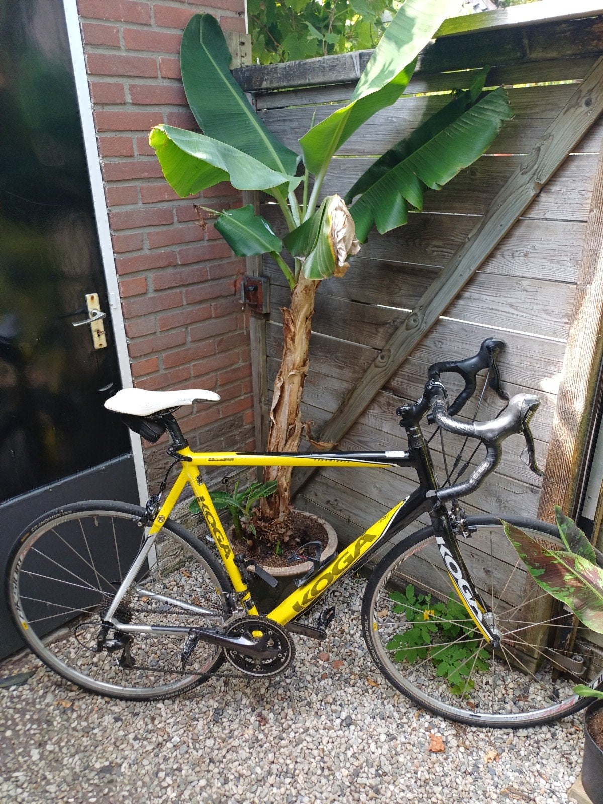 Koga Roadwinner racefiets met carbon voorvork, framemaat 60, Fietsen en Brommers, Fietsen | Racefietsen, Ophalen
