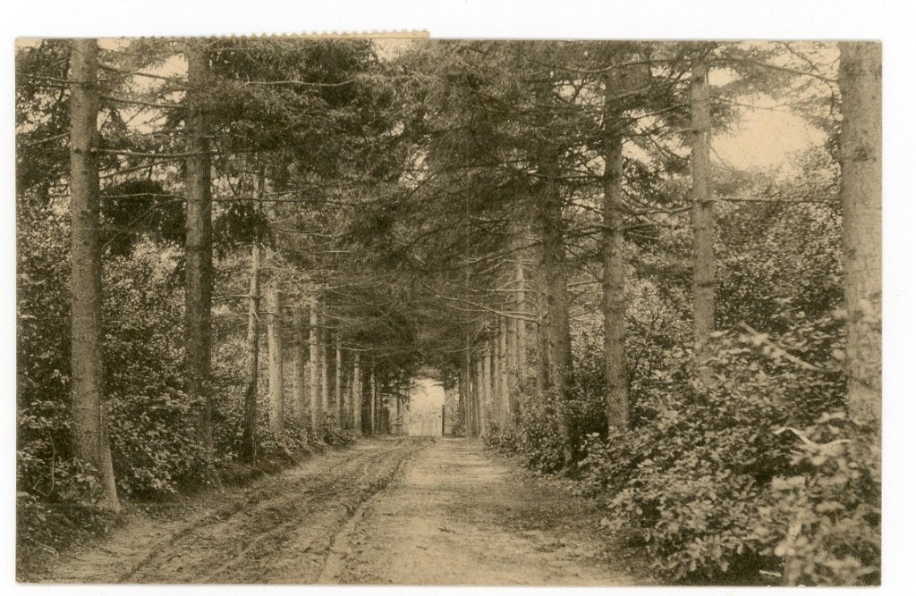 Bergen op Zoom, Verzenden, Voor 1920, Gelopen, Noord-Brabant