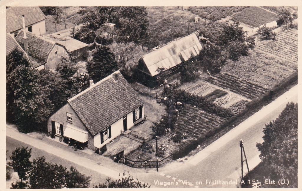 00226 Elst - Viegen's Vis en Fruithandel A151, Verzenden, 1940 tot 1960, Gelopen, Utrecht