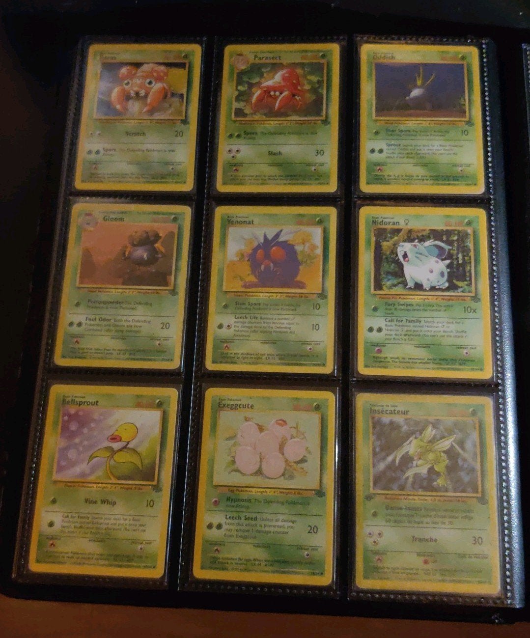 Grote Pokémon Map Jungle, Ophalen, Gebruikt, Meerdere kaarten, Foil
