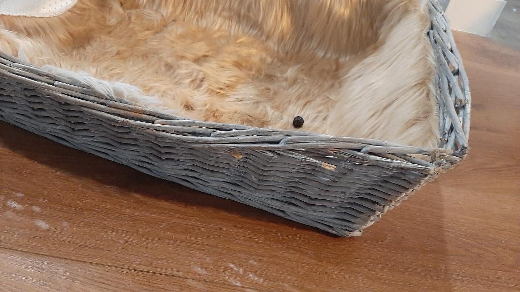 Hondenmand, Ophalen, Gebruikt, Riet