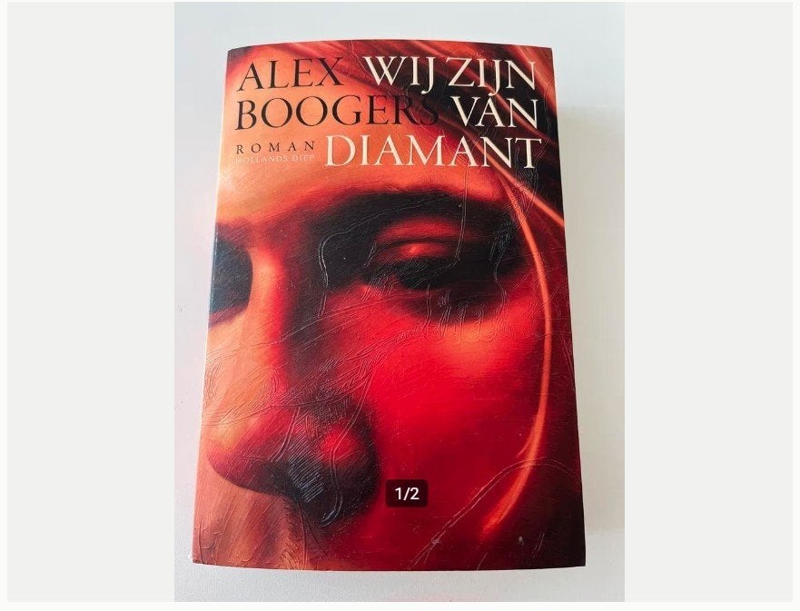 Wij Zijn Van Diamant - Alex Boogers (Roman), Ophalen of Verzenden, Zo goed als nieuw