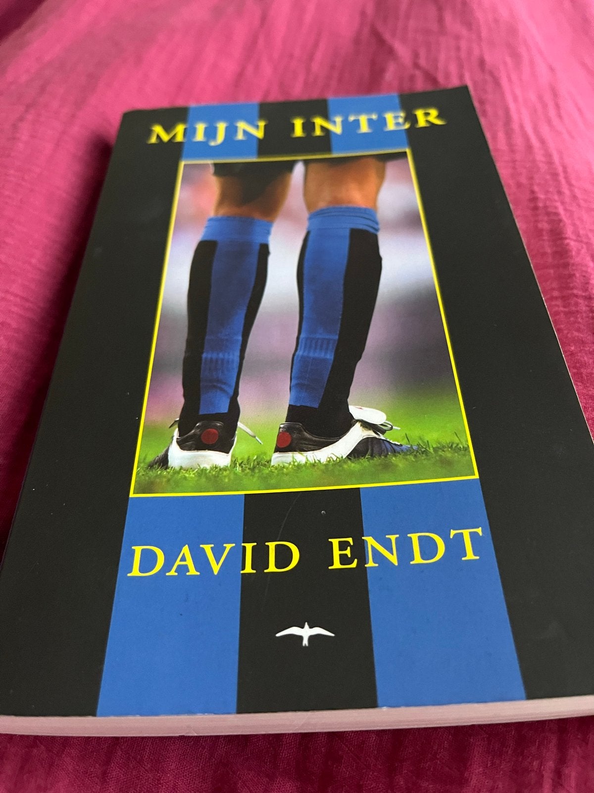Mijn Inter - David Endt (Voetbalboek), Ophalen of Verzenden, Zo goed als nieuw, Overige sporten