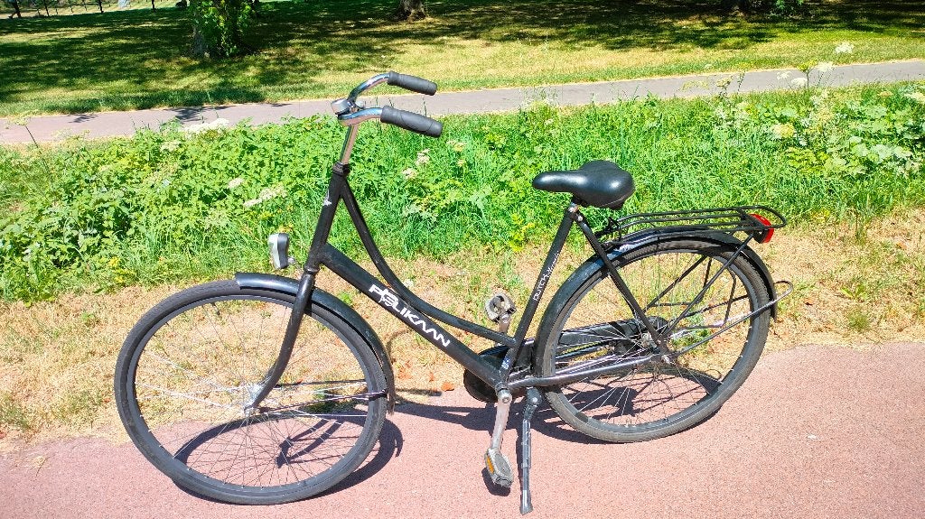 Omafiets, Ophalen, Terugtraprem, Pelikaan, 53 tot 56 cm