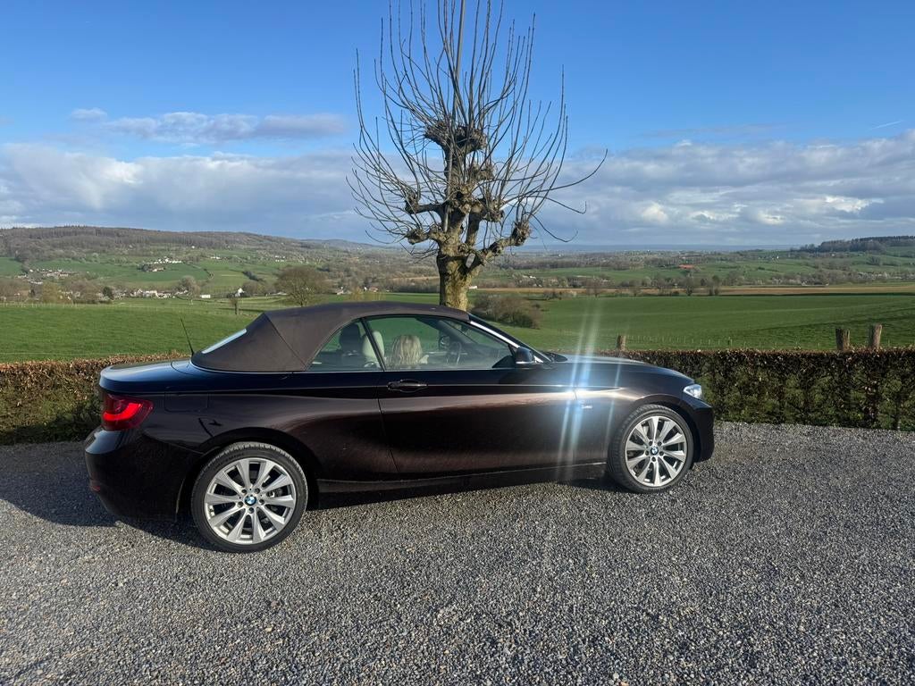 BMW 220i cabrio goed onderhouden 2016, Automaat, Stoelverwarming, 4 cilinders, Leder