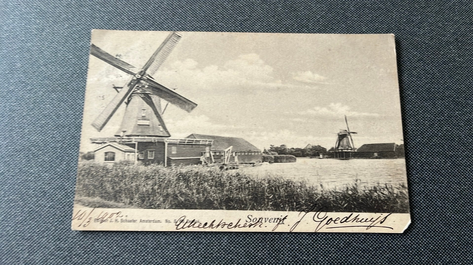 Zaandam cacaomolen Het Zwarte Kalf, Ophalen of Verzenden, Voor 1920, Gelopen, Noord-Holland