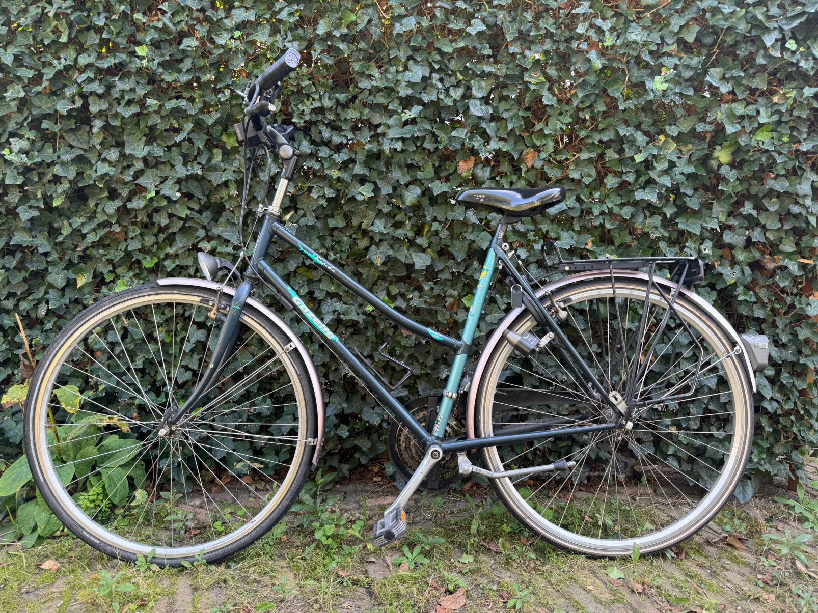 Gazelle Riacho, Ophalen, Gebruikt, Versnellingen, Gazelle