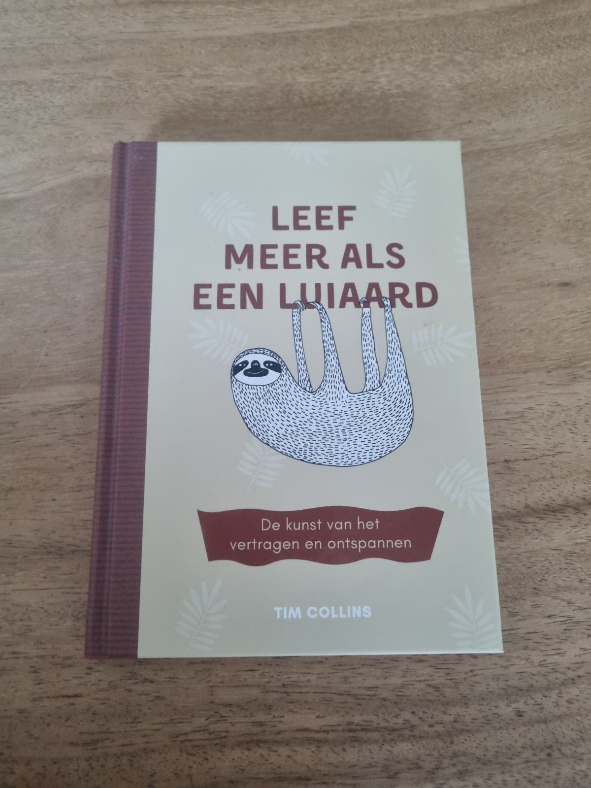 Luka Va - Leef meer als een luiaard, Boeken, Ophalen of Verzenden, Zo goed als nieuw, Luka Va; Tim Collins