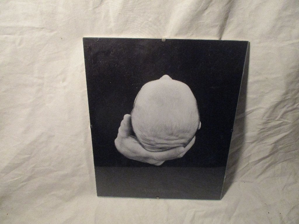 foto Anne Geddes, Ophalen of Verzenden