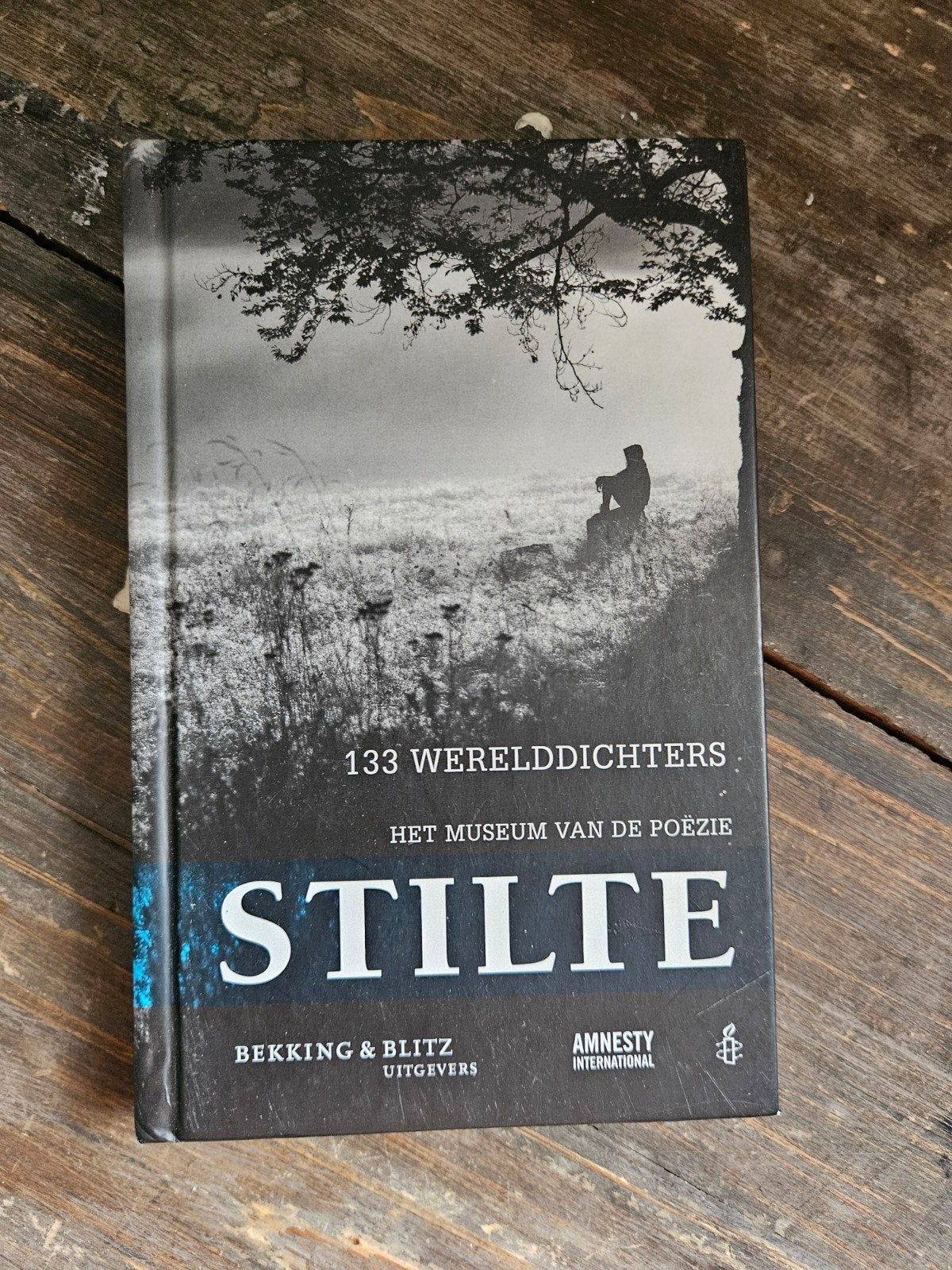 133 Werelddichters: Het Museum van de Poëzie - Stilte, Ophalen of Verzenden, Gelezen, Meerdere auteurs