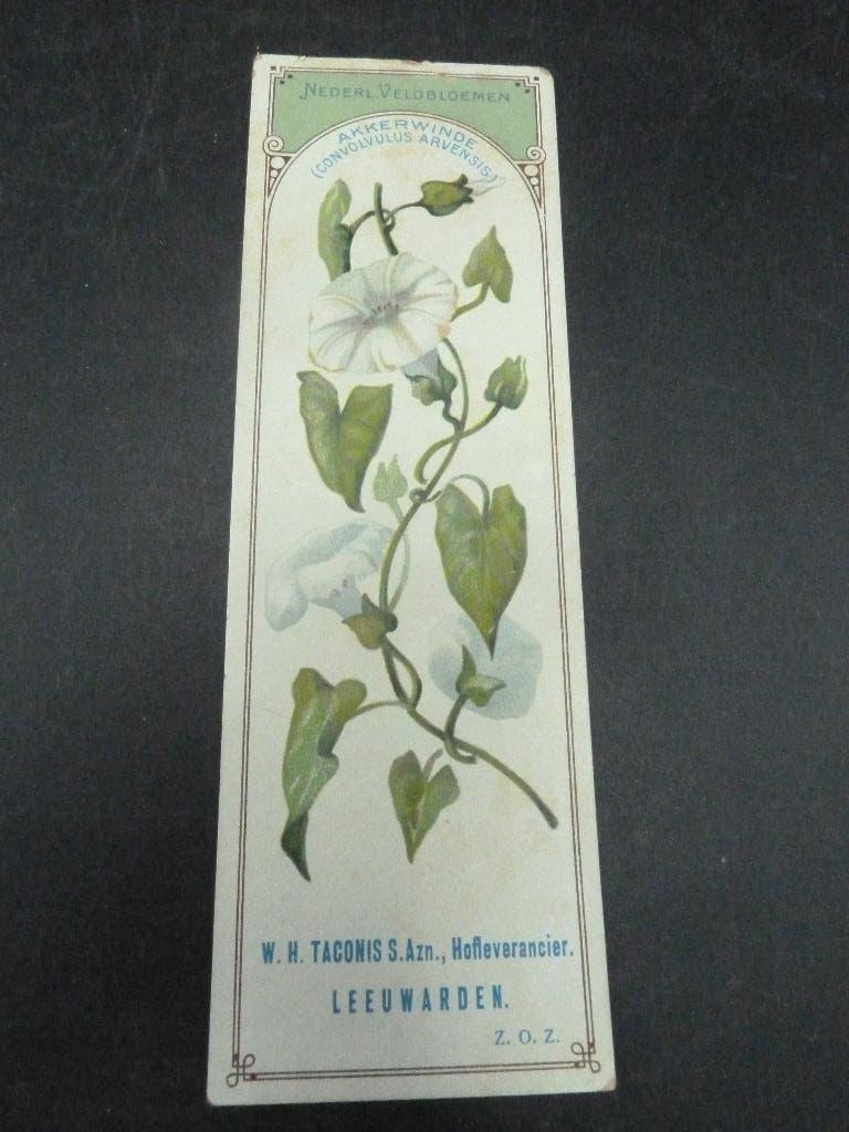 Antieke boekenlegger Taconis bakker Leeuwarden veldbloemen, Ophalen of Verzenden, Nieuw, Reclame