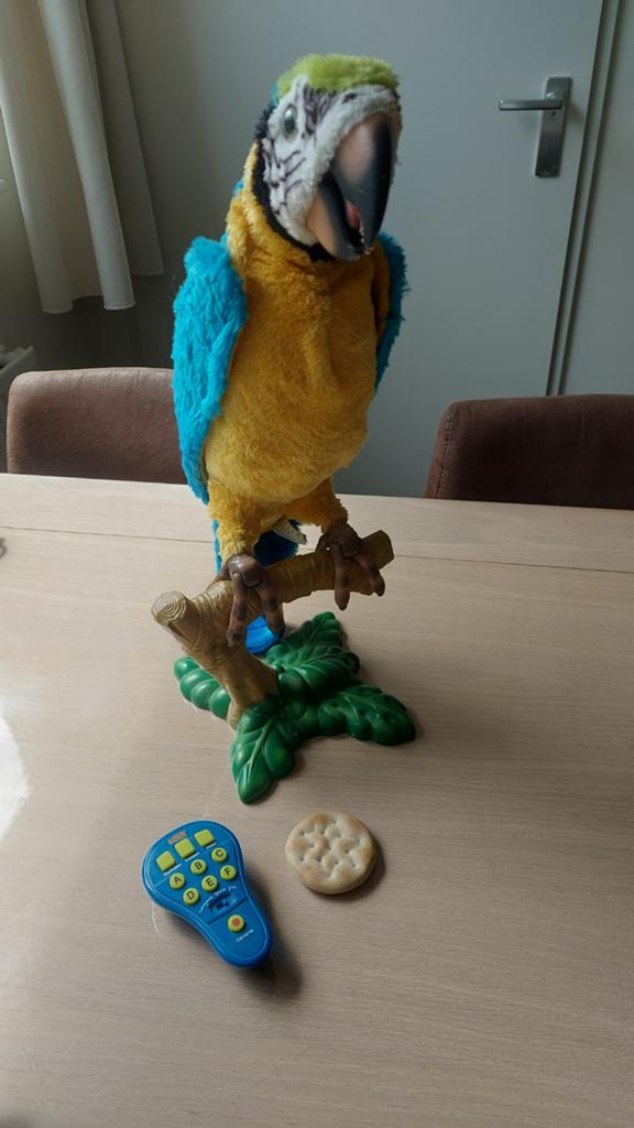 furreal friends papegaai coco met accessoires, Kinderen en Baby's, Speelgoed | Overig, Jongen of Meisje, Ophalen of Verzenden