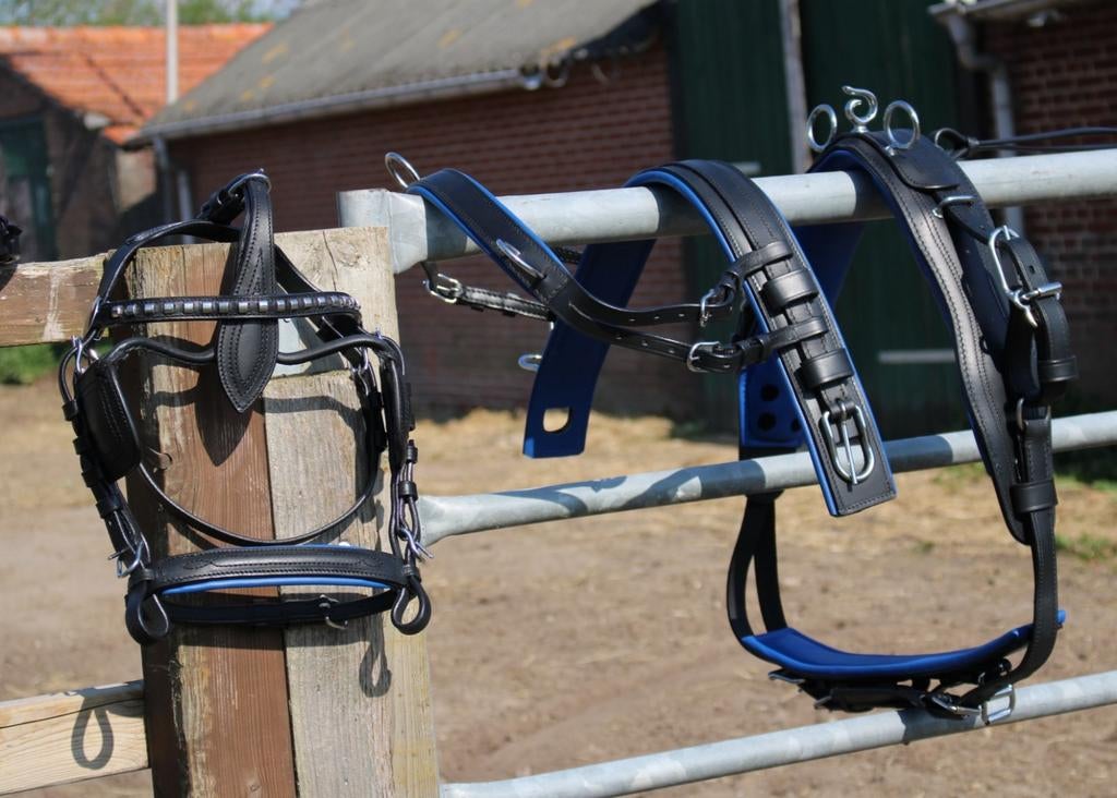 Te koop super gave blauw onderlegd shetlander mentuig nieuw, ., Ophalen of Verzenden, ., .