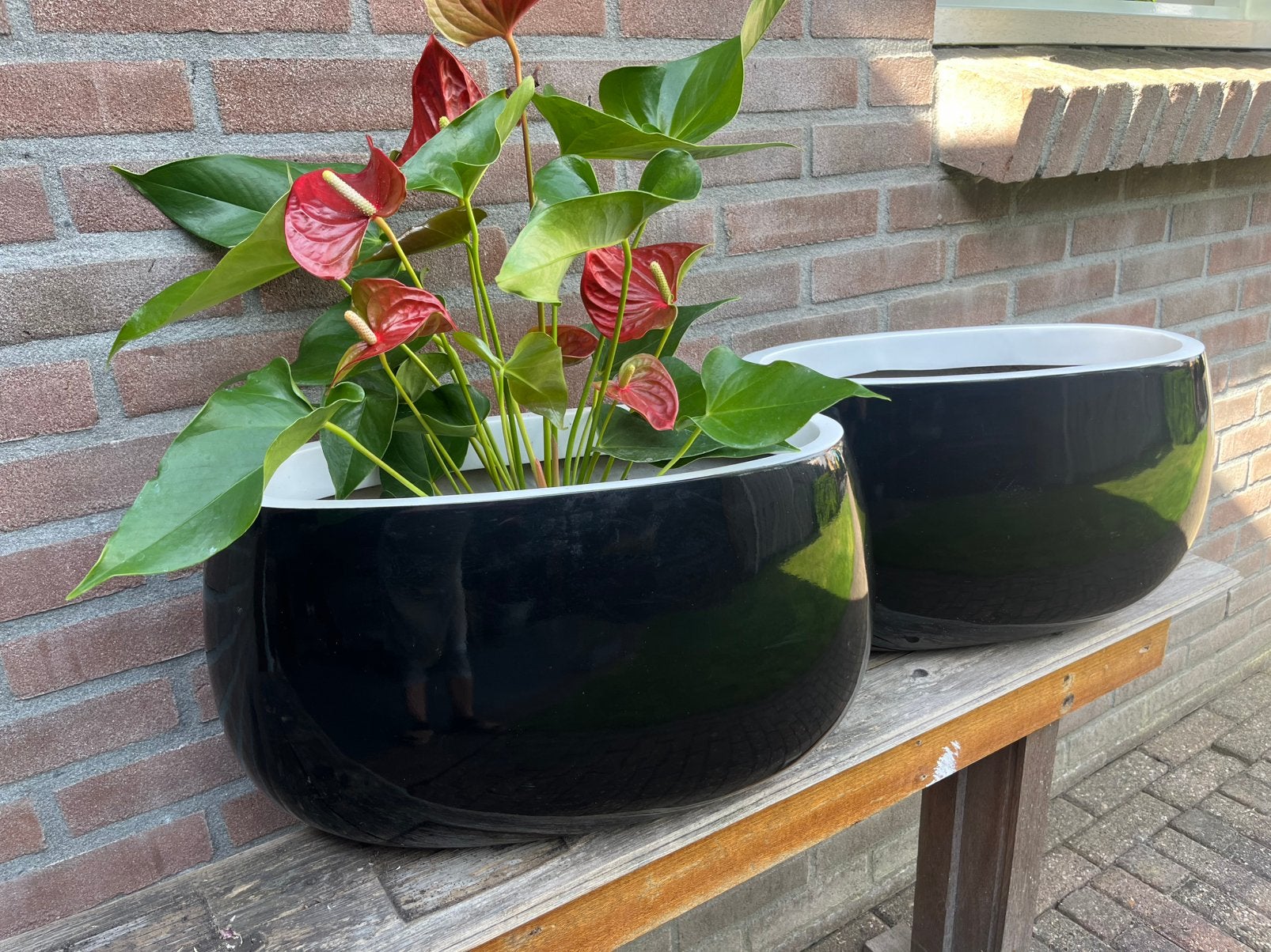 Plantenbakken, Ophalen, Zo goed als nieuw, Minder dan 30 cm
