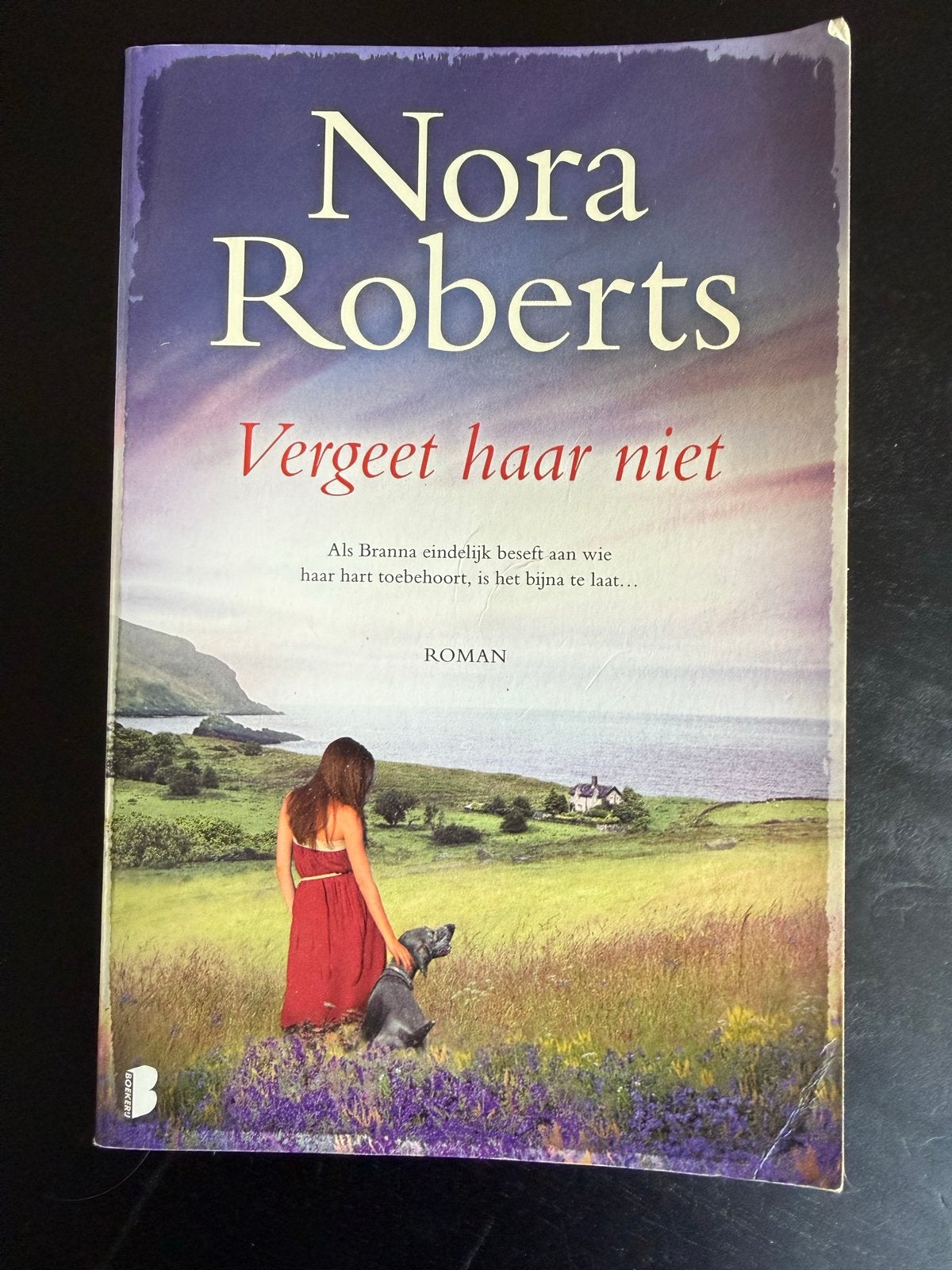 Nora Roberts - Vergeet haar niet (Roman), Boeken, Ophalen of Verzenden, Zo goed als nieuw
