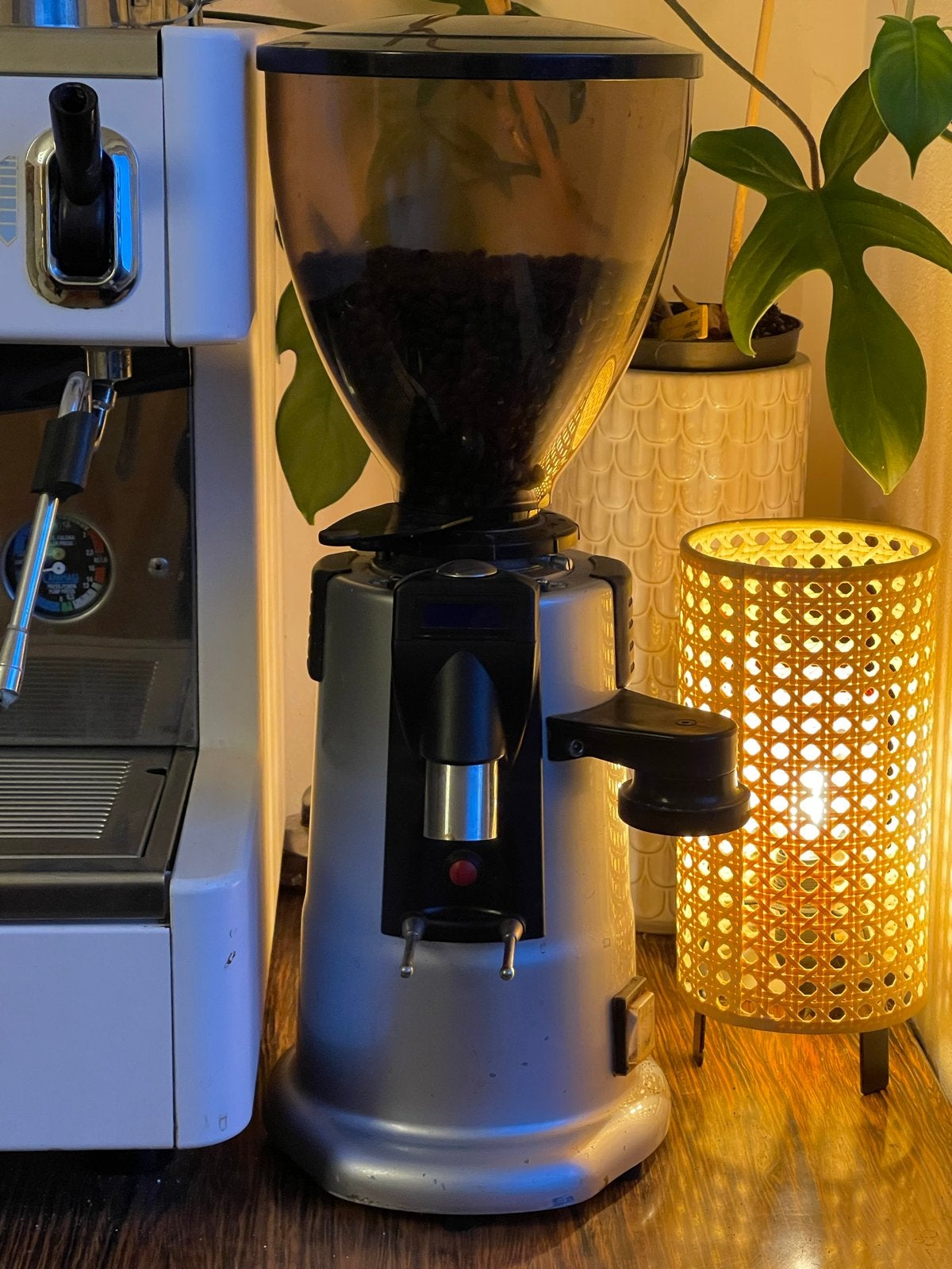 Carimali bonenmaler - Professionele koffiemolen, Ophalen, Gebruikt, Overige modellen, 10 kopjes of meer