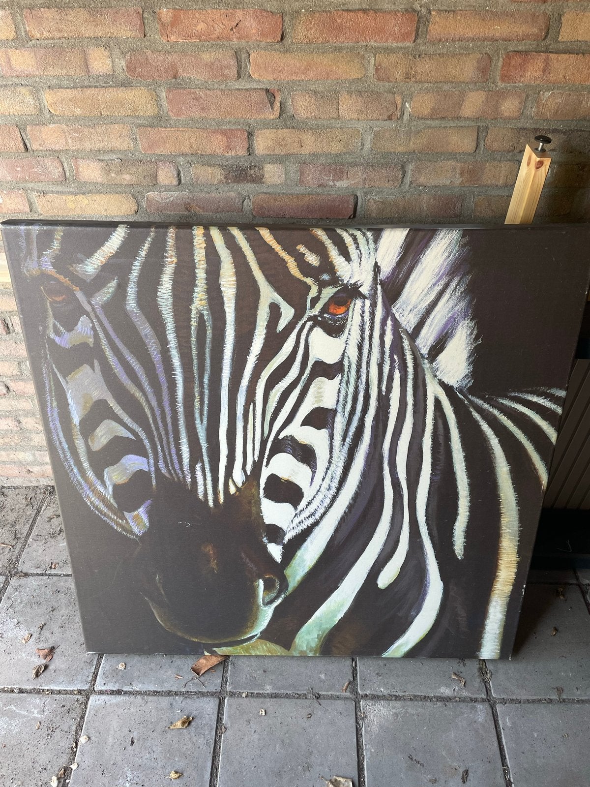 Prachtig Zebra Schilderij - 80x80 cm, Antiek en Kunst, Ophalen, Op houten frame, Dieren