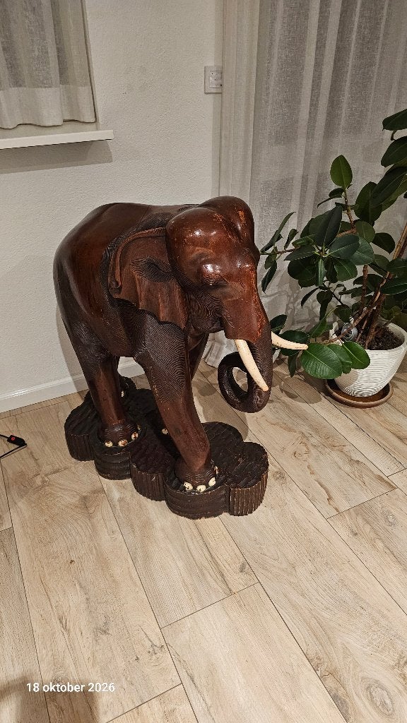 Mooie olifant, Ophalen, Gebruikt, Dier
