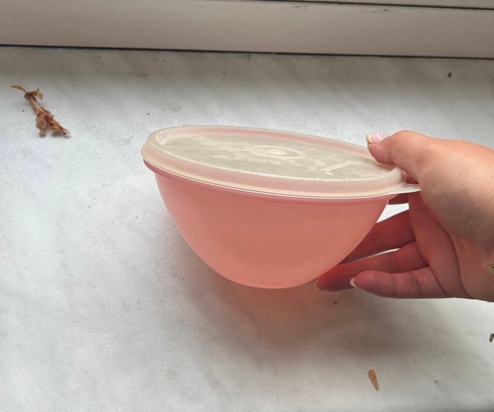 Tupperware schaal met deksel - Gebruikt, Gebruikt, Overige kleuren, Schaal, Ophalen of Verzenden
