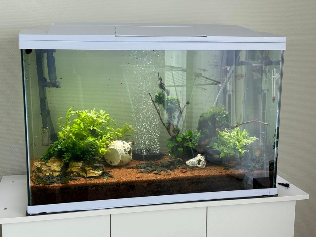 Compleet aquarium 150L meubel, filter, vissen en accessoires, Ophalen, Zo goed als nieuw