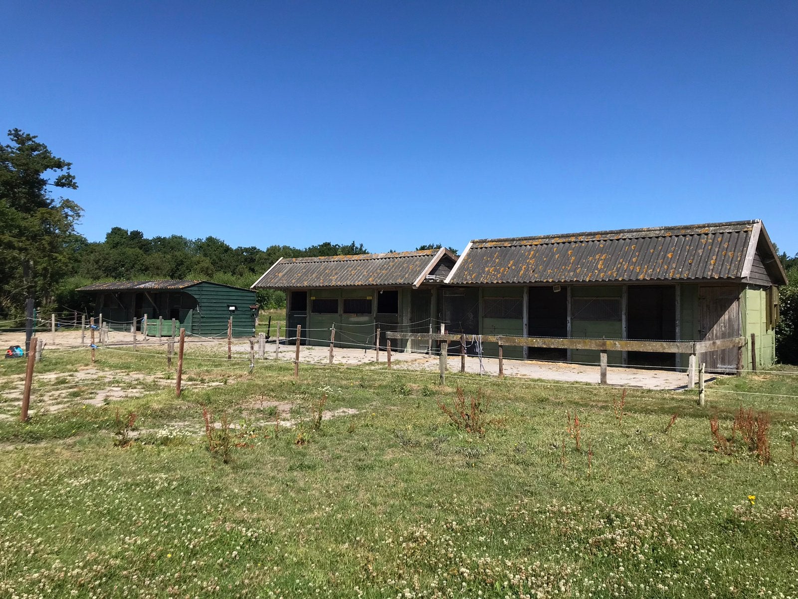 Te huur stallen met weiland en hooiopslag, Weidegang, 4 paarden of pony's of meer